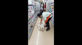 Shop staff drag lazy dog out of store in Bangkok