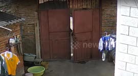 Boy, 6, scares grandmother by dragging snake into home