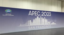Peruvian expert highlights China's contribution within framework of APEC
