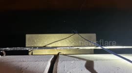 Rescue team abseil down bridge to save pet kitten stranded on ledge for five days