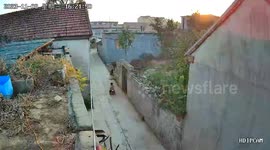 Heroic boy stops sibling from dangerous scooter slide onto bustling road