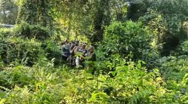 Eight men carry huge 20-foot-long python found in village pond in India