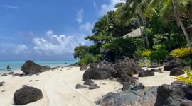 Rare video of Aitutaki Island. Filmed on the beautiful sandy beach with a black rocks and green palmiers.