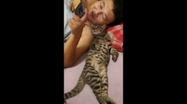 Pet cat transfixed by Tom and Jerry cartoon