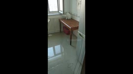 Mischievous cat gets nails stuck on window frame