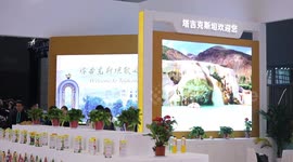 7th Silk Road Int'l Exposition opened in China's Xi'an