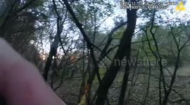 Wisconsin sheriff deputies perform heroic rescue on distressed buck tangled in barbed wire