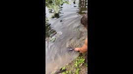 Spoon-Feeding a Catfish