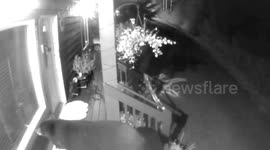Bear Checks Out Trick-or-Treat Candy