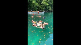 Swirling Swim With Siargao Jellyfish