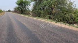 Leopard Brazenly Approaches Safari Vehicle