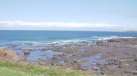 Australia commemorates 85th anniversary of wharfies' protest against Japanese atrocities in China