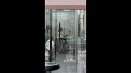 Dog starts tap dancing while having fur dried at pet grooming salon
