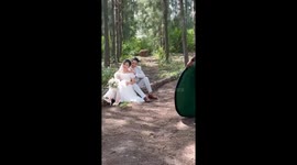 Newlywed's prenup pictures ruined by stray dog going to the toilet