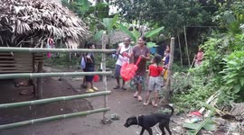 Helpless juvenile Philippine Hawk Eagle rescued in Bulan, Philippines