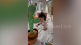 Baby has hair so thick people think it's a wig