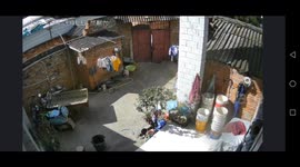 Daring Child Carries 2-Metre-Long Snake as a Toy in Southern China