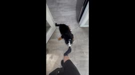 You Are Not Allowed To Leave