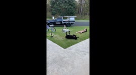 A Family Of Roly-Polies