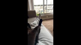 Cuddle Double Big Stretch