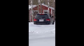 Doodles Dash Through Drifts Of Snow