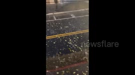 Argentina: Yellow Alert Issued As Intense Hail Storm Hits Parts Of Misiones