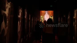 3,000-year-old golden treasures of Pharaoh Ramses II glisten at Australian Museum