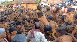 A strange festival of throwing cowdunk at each other was held in the Talawadi hills, south India