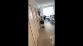 Cat Waves Goodbye