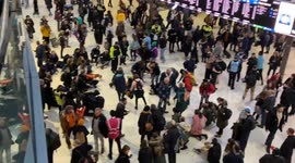 Police make arrests as pro-Palestine protesters stage sit-in in Waterloo Station