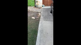 Delivering Packages To Overflowing House