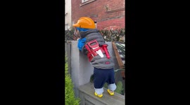 French Bulldog Dresses As Famous Builder