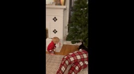 Christmas Tree Lights Adorably Dazzle