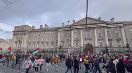 Pro-Palestine protesters march through Dublin, Ireland