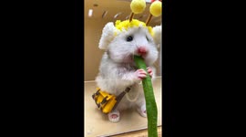 The video is taken by my sister while her cute little girl is eating unstoppable, she seems so hungry