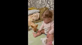 Baby and Dog Play Together