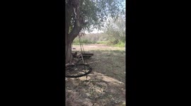 RC Car Crashes Through Window
