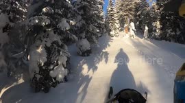 Snowmobile mishap: tree collision caught on camera