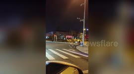 Escaped camel runs along road in China