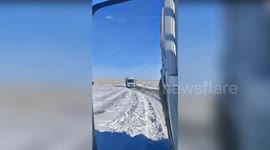 Mother horse chases lorry carrying away her baby foal to be sold