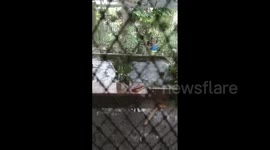 Philippines: At Least 7 Dead After M6.7 Earthquake Strikes Southern Region 4