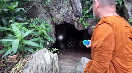 Tourists view hundreds of bats up close in temple cave in Thailand
