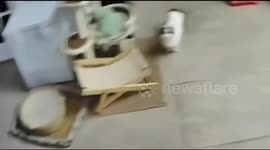 Cute cat greets owner through surveillance in Eastern China