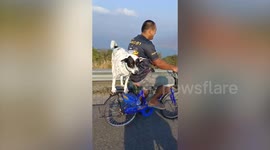Pet dog balances precariously on back of owner's bicycle in Thailand
