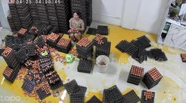 Egg store owner weeps when dozens of eggs crack on floor