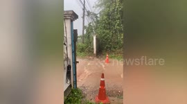 Kind security guard rescues stray puppy being drenched in rain