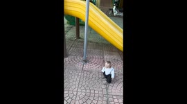 Playful moments: Lulu the 1-year-old monkey's slide adventure in Haiphong, Vietnam