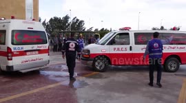 Egypt receives 28 premature babies from Gaza's largest hospital