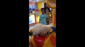 Cat Goes For A Ride