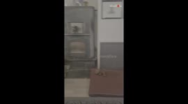 Dog is bothered by the unexpected arrival of another 'pup' in the house